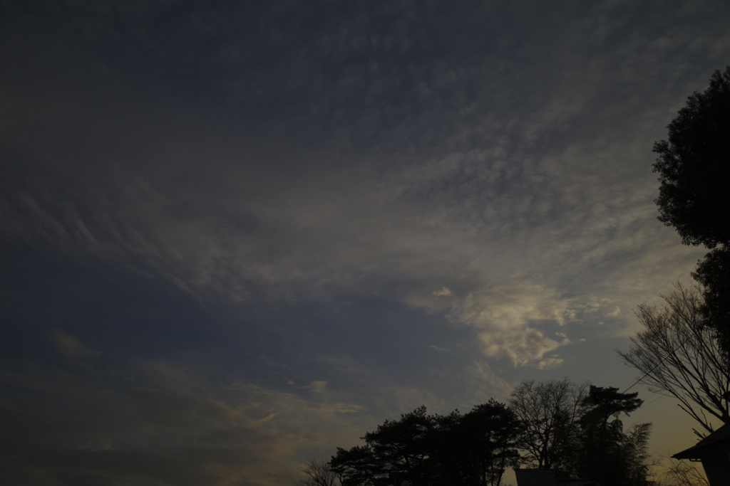 Sky, scattered clouds, pale light 
