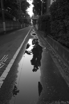 Walking after the rain 