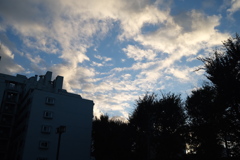 Late afternoon 