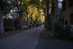 Going home with friends 
