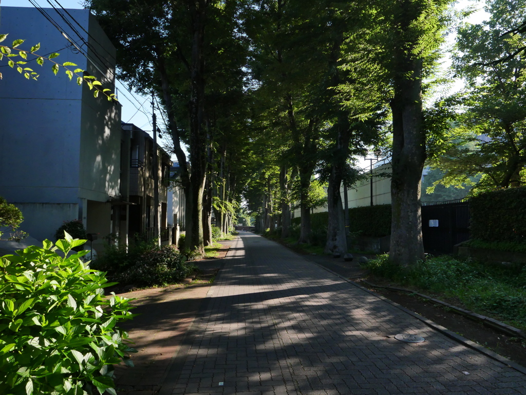 梅雨はどこに行ったの?