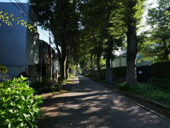 梅雨はどこに行ったの?