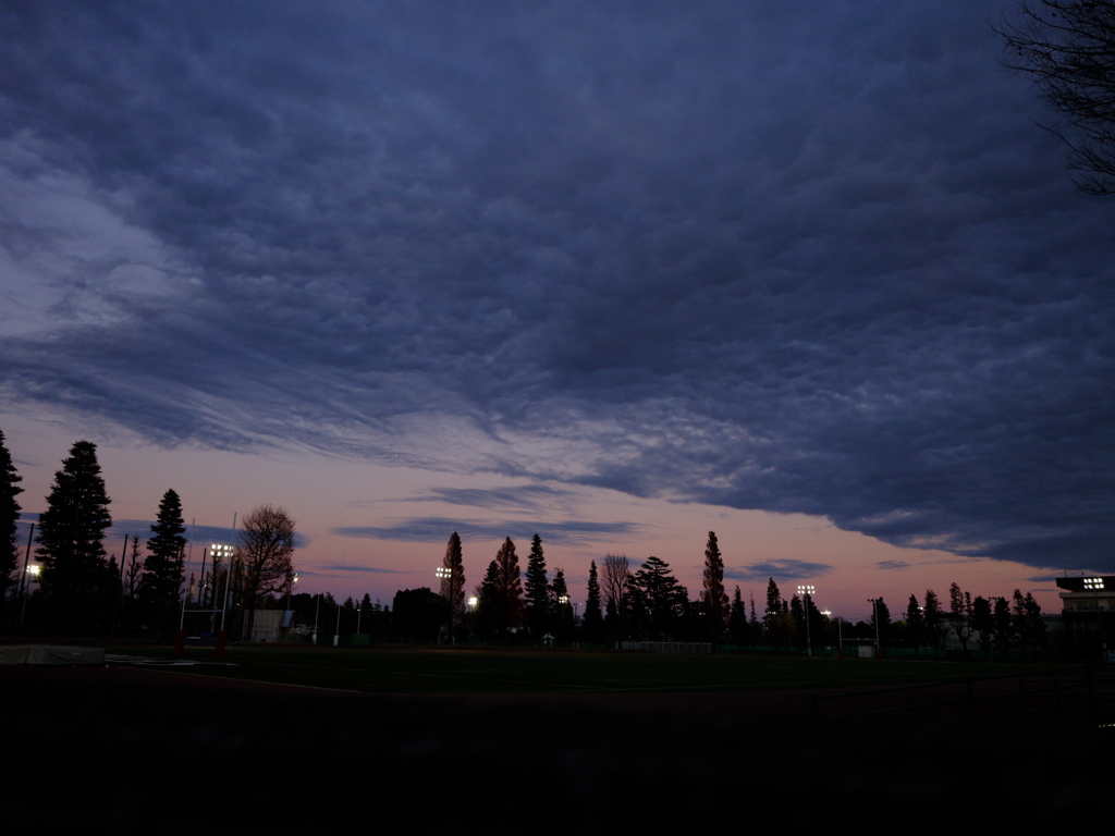 成蹊大学グラウンドの夕暮れ