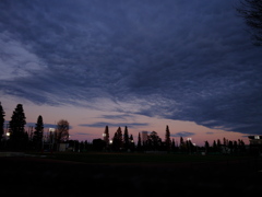 成蹊大学グラウンドの夕暮れ