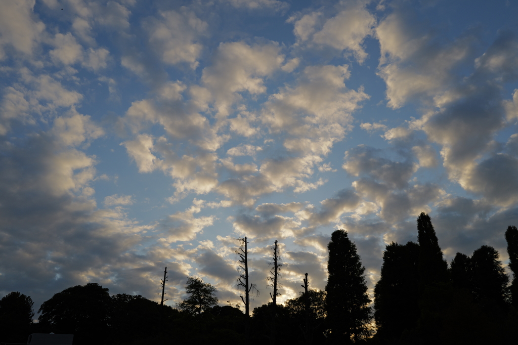 空、雲、木々