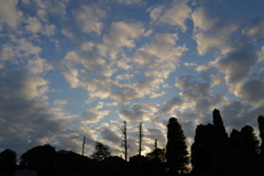 空、雲、木々