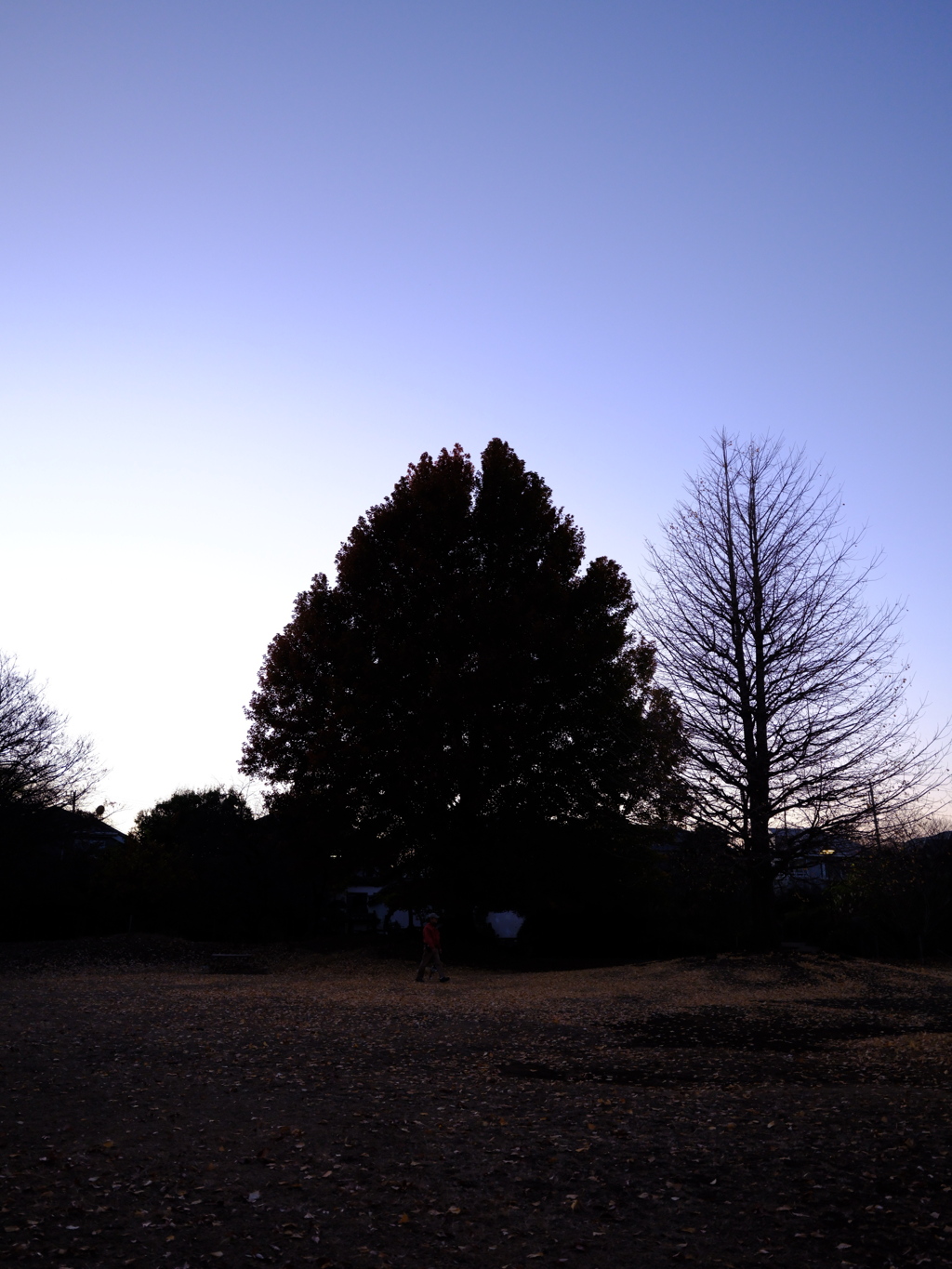 Sunset in the winter 