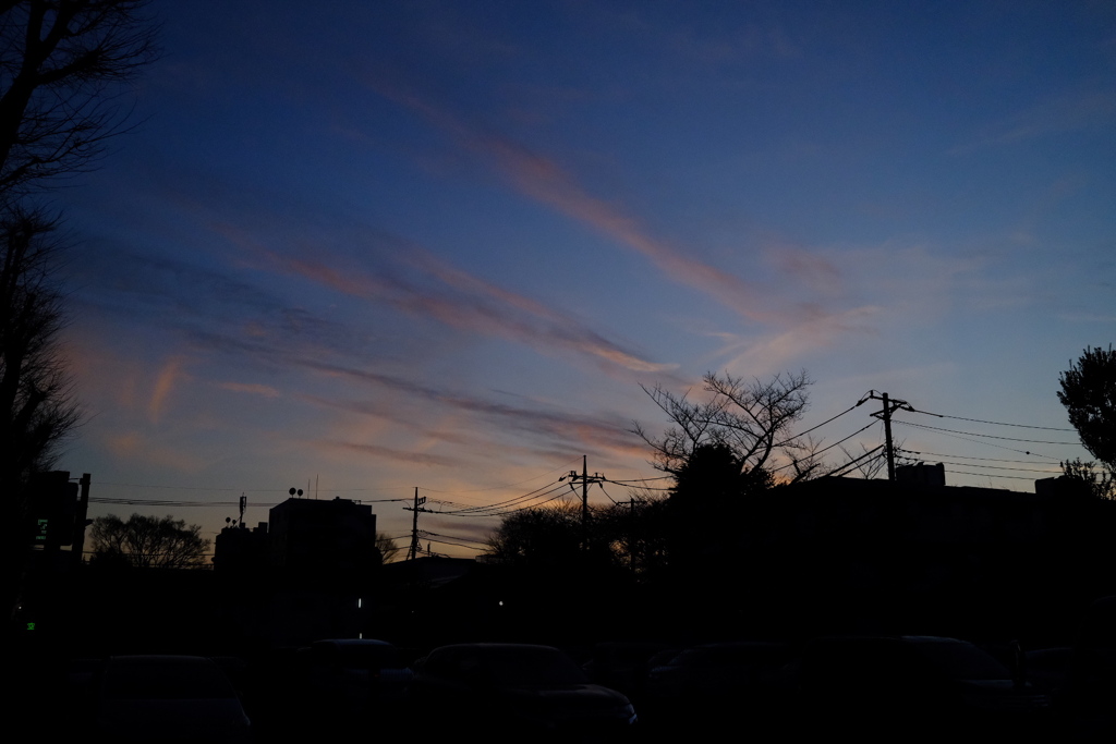 穏やかな冬の夕方