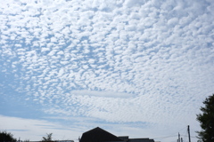 Mackerel sky this noon