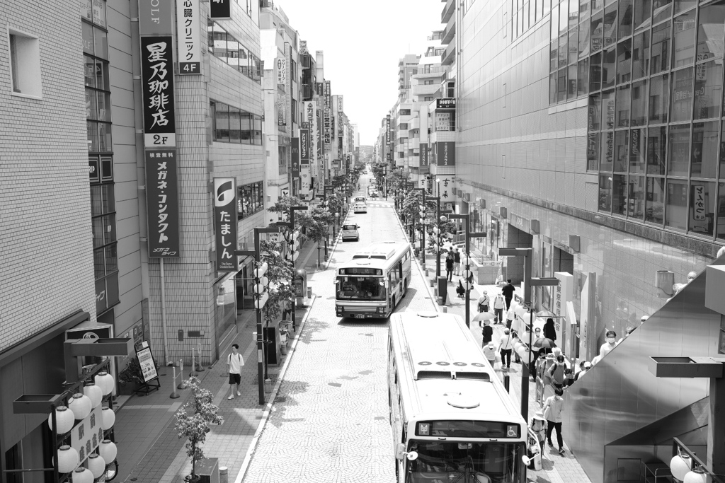 In the midst of summer at JR Mitaka st.