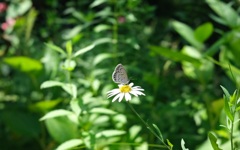 Just after the rainy season 