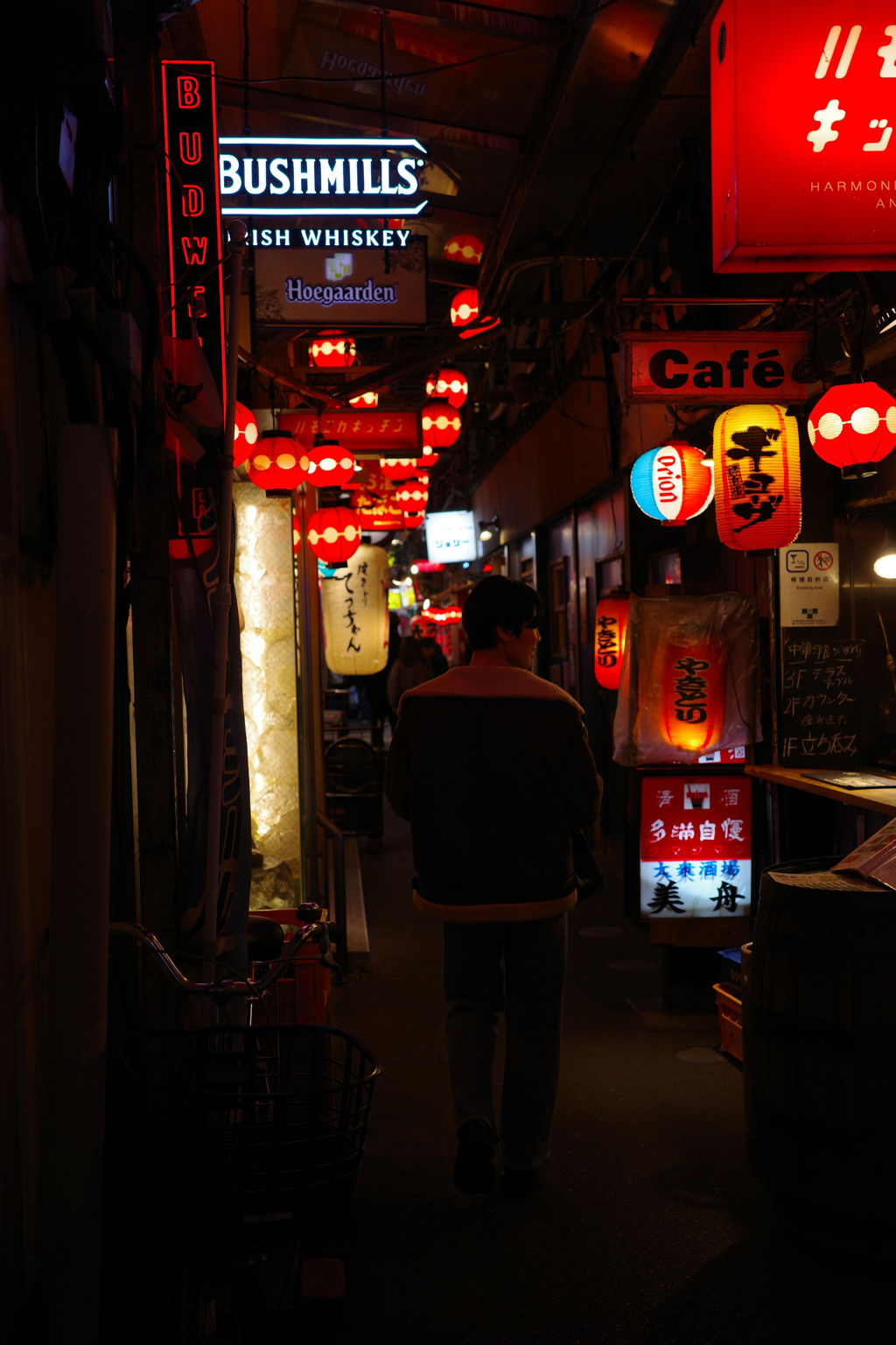 Harmonica Alley in Kichijoji in year end