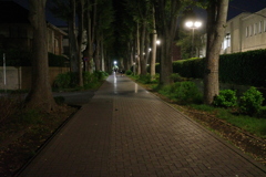 Walking in the night 