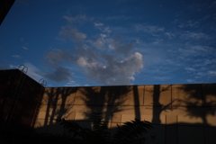 欅並木の影と夕空