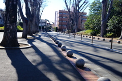 Round stones in a row 