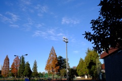 Sports ground of Seikei Univ.