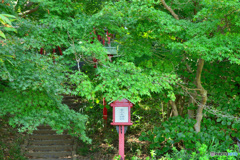 紅葉はまだ先