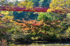 赤い橋と紅葉