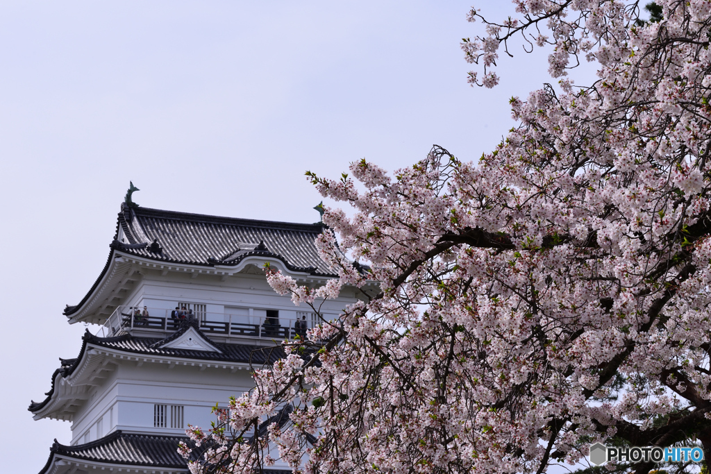 小田原城