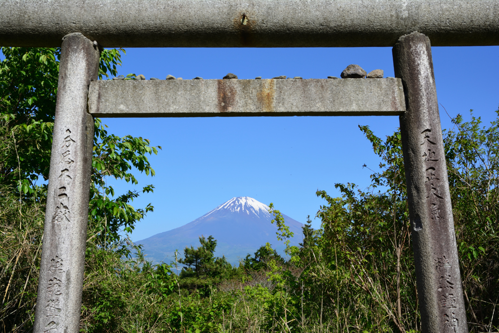 富士山
