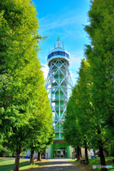 千葉県　さんぶの森公園