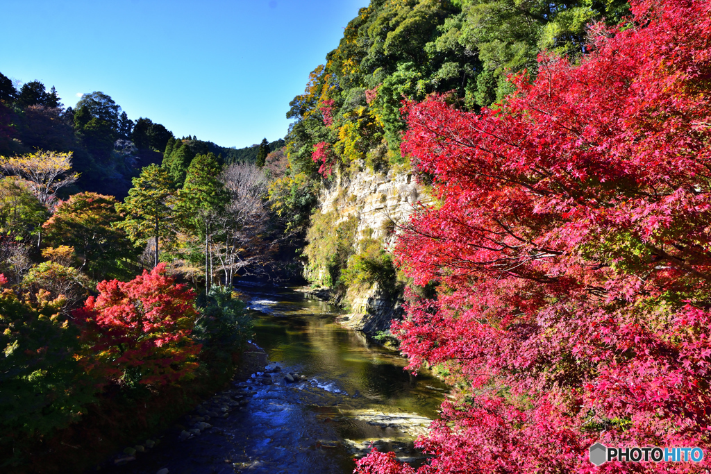 渓谷の紅葉