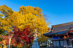 朝早く