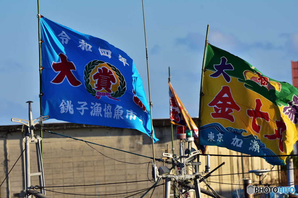 新年の漁港