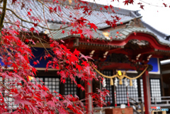 近所の神社