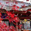 近所の神社