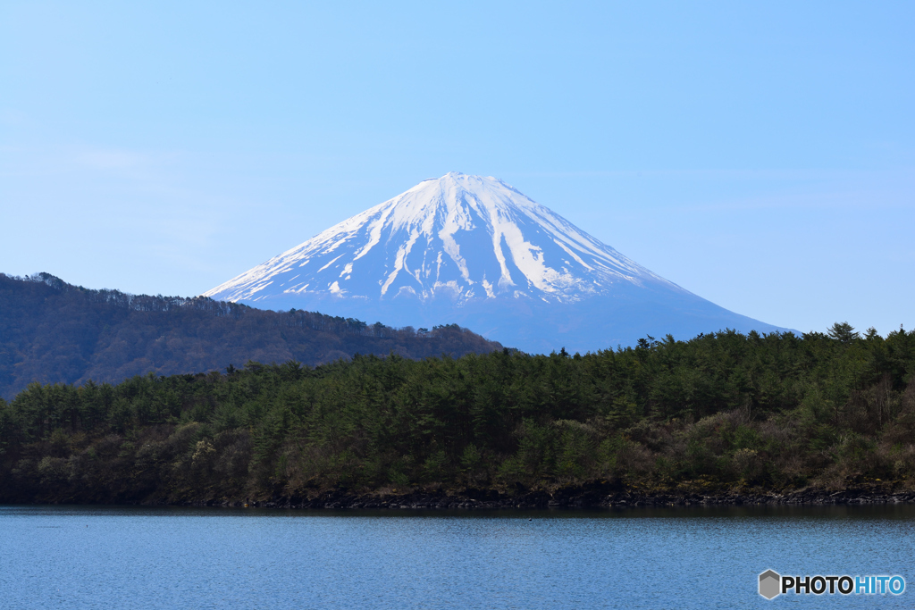西湖からの富士