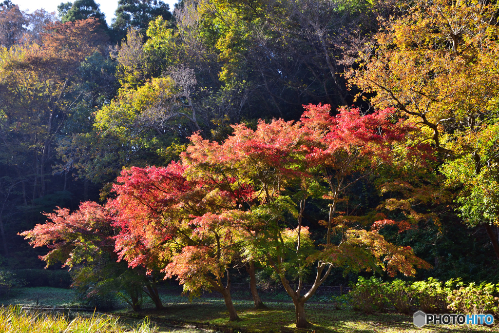 近所の公園で