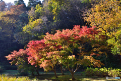 近所の公園で