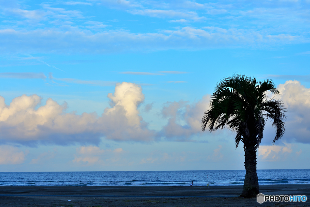 夕方の海