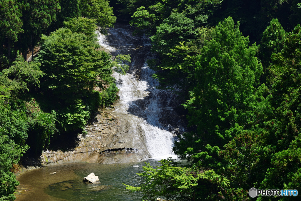 新緑の中の滝