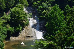 新緑の中の滝