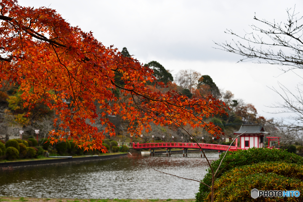 近所の公園１