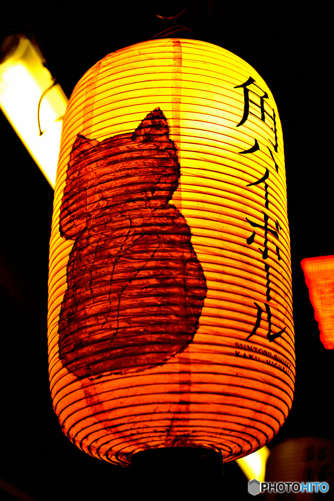 夜の新宿