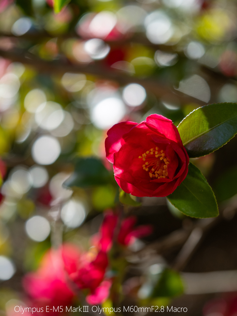P1081576-Edit-2