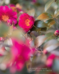 P1071820-Edit-45-1