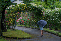 雨の日