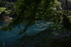D097EBD7-869D-41D8-8405-446EAAD0D535