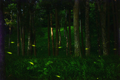1F0A9F0E-446E-49CC-A1C9-0ADC63AB78C5