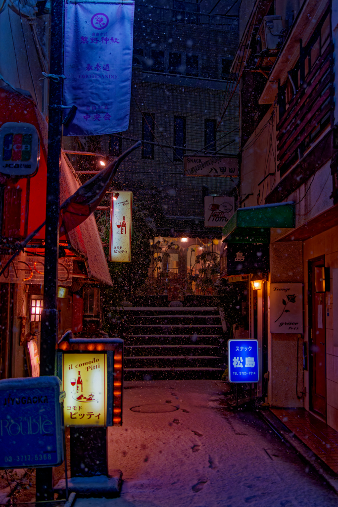 雪降る夜の路地