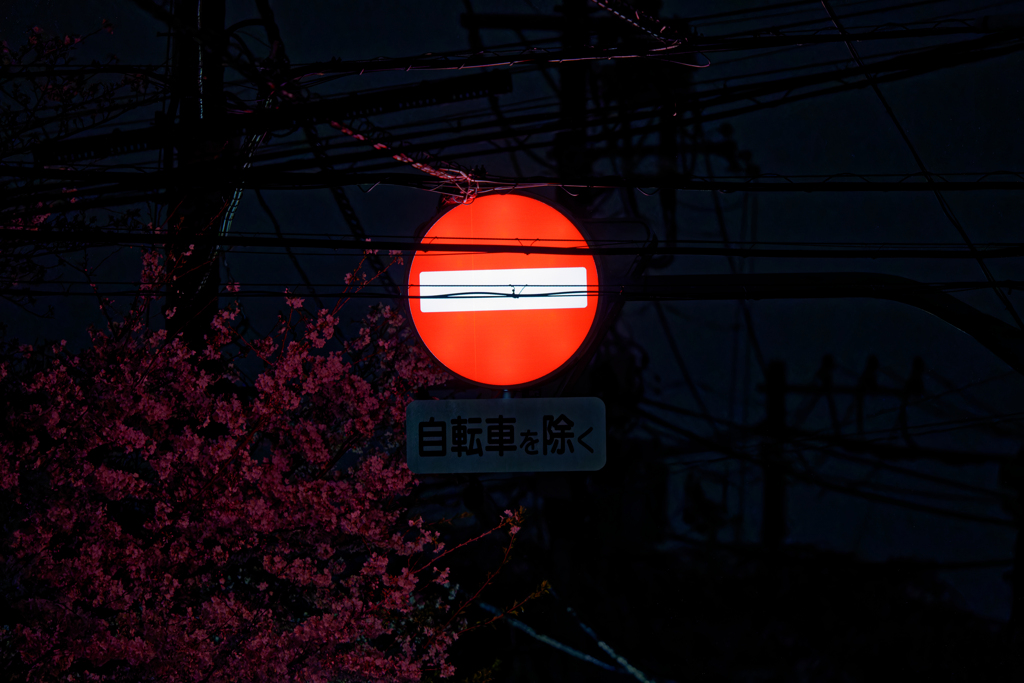 標識に照らされて