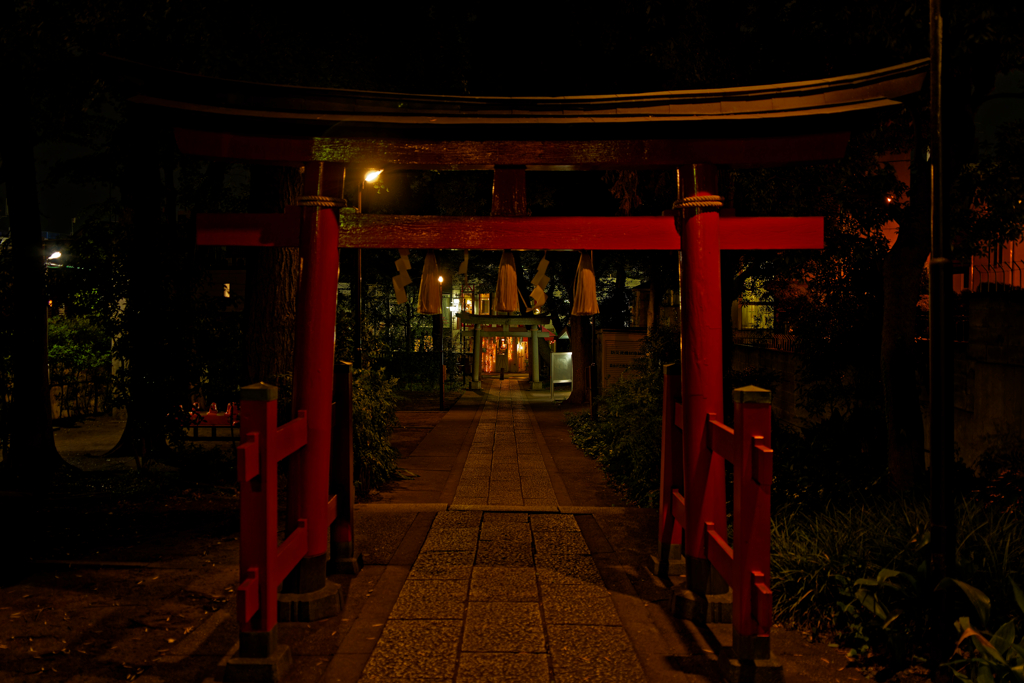 鳥居の先には