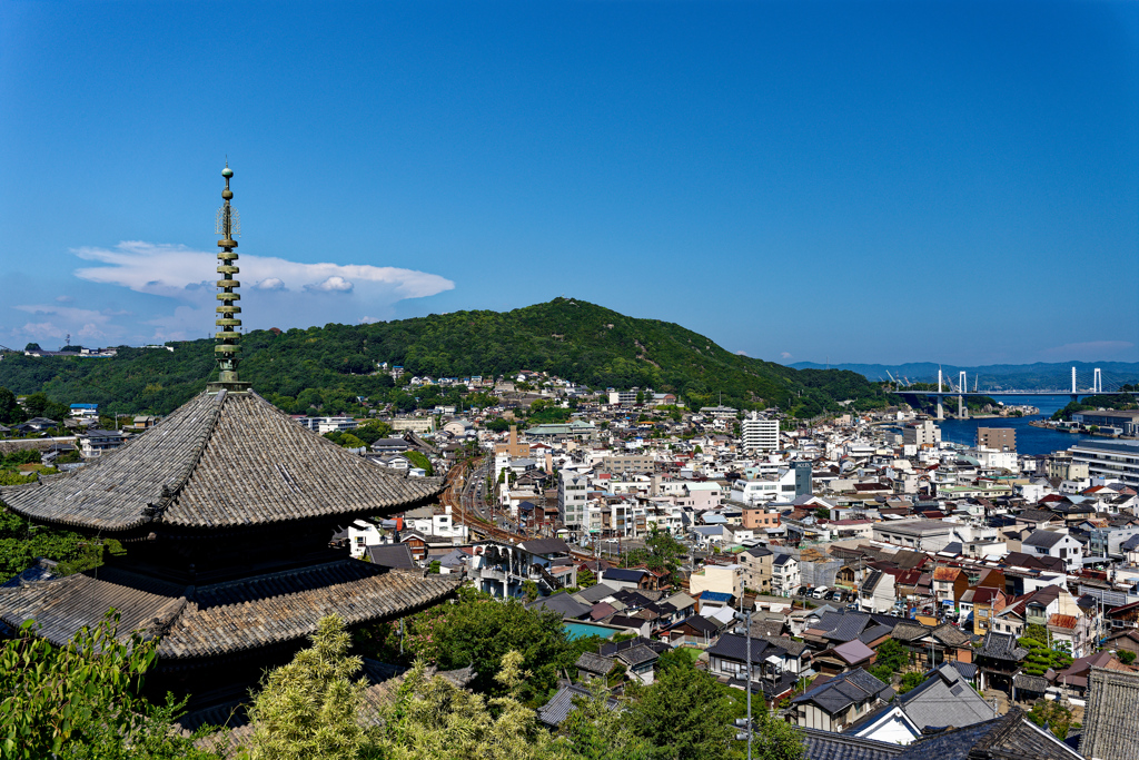 尾道ー千光寺の夏１