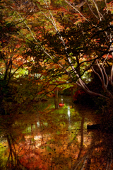 紅葉リフレクション