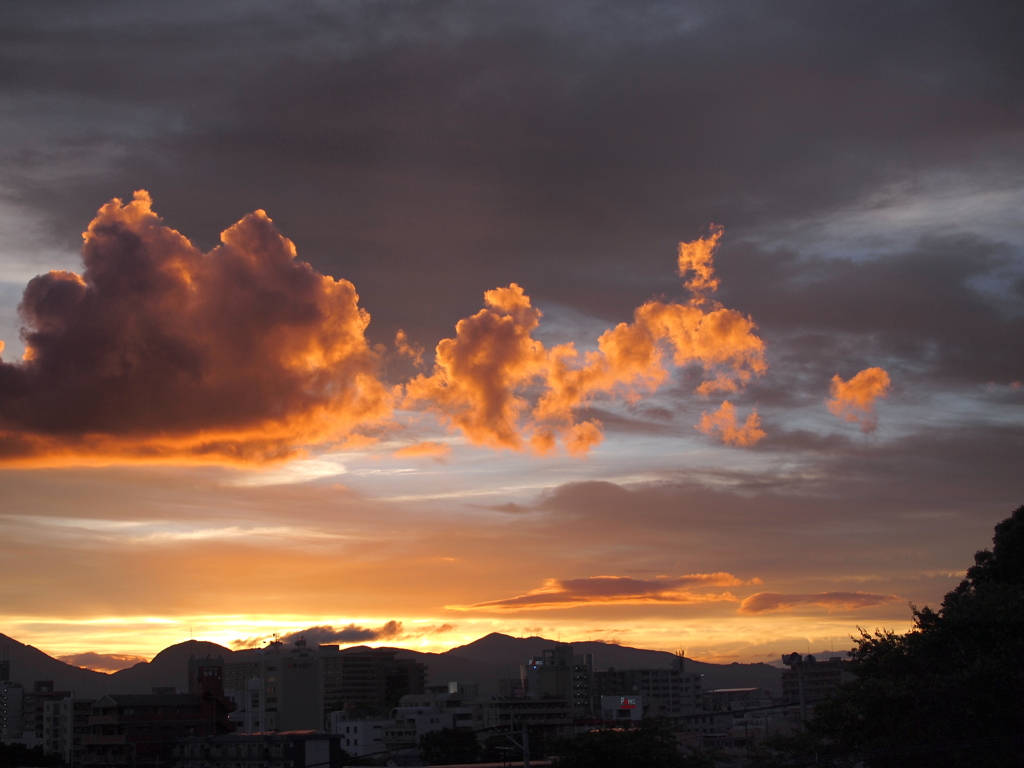 夕日
