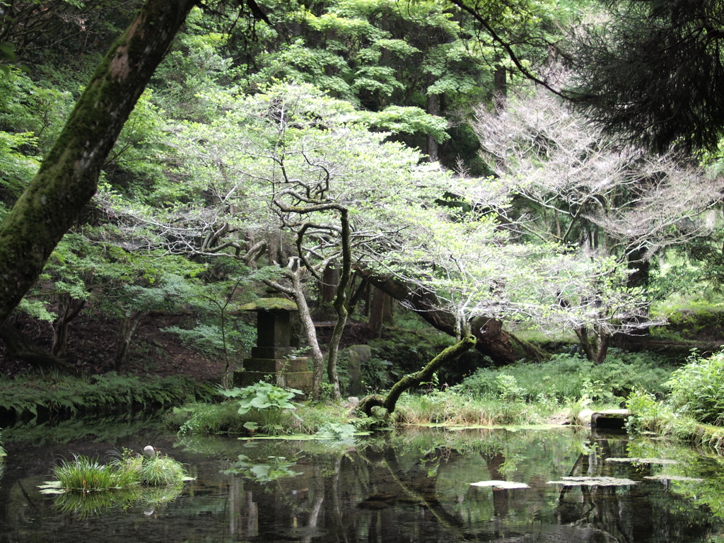 山吹水源　ジブリ